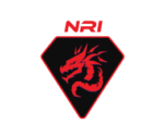 Logo PT. Naga Rubi Inovasi