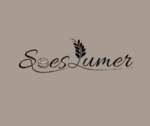 Logo Soes_lumer